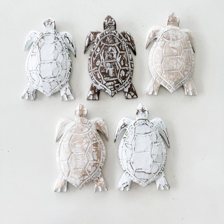 Large Turtle | 21cm | Assorted Colours