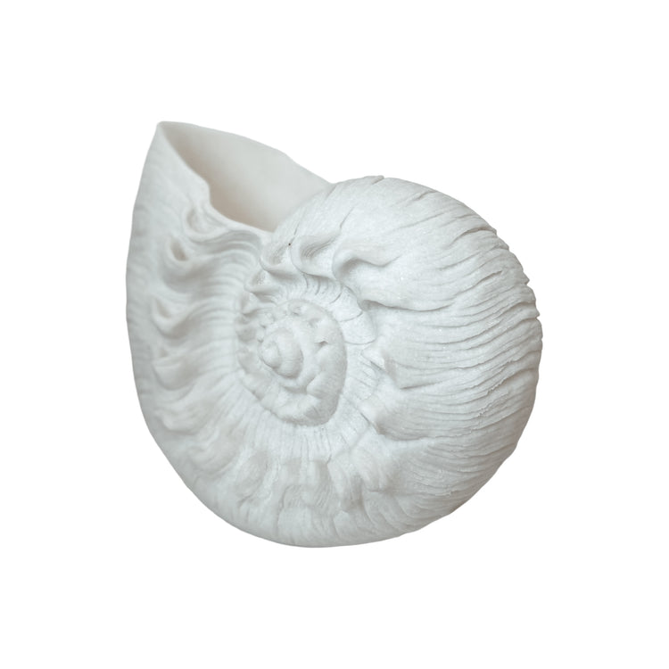 Shell Resin Outdoor Light