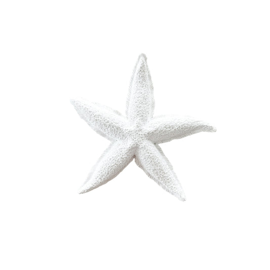 Starfish | Resin | 20cm