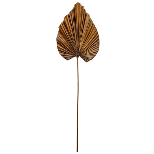 Palm Leaf Stem | Spade | Natural