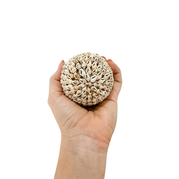 Shell Ball | Natural | 3 sizes