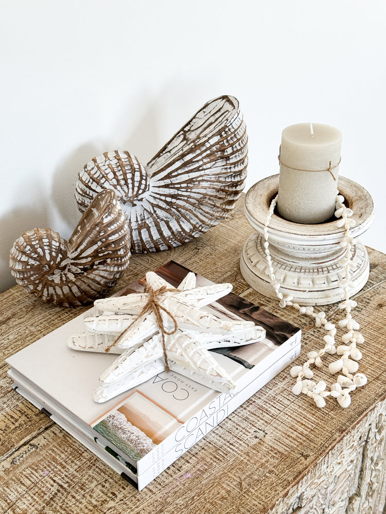 Starfish Bundle | White