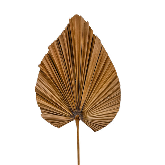 Palm Leaf Stem | Spade | Natural