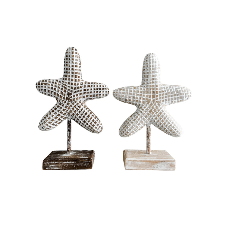 Starfish on Stand| Round | Natural