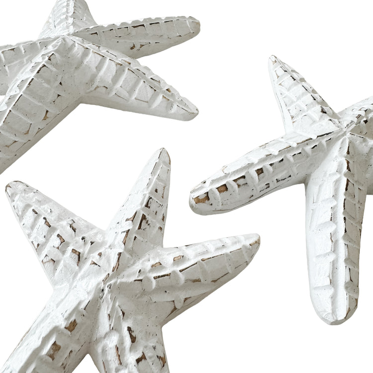 Starfish Bundle | White