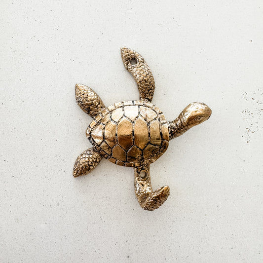 Turtle Wall Hook