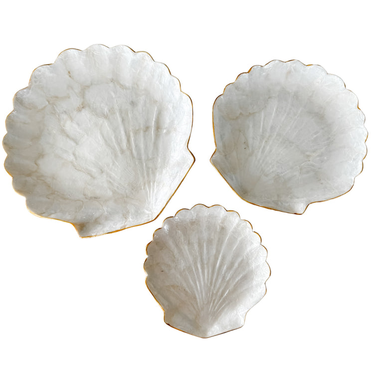 Clam Trinket Plate | 3 Sizes Available