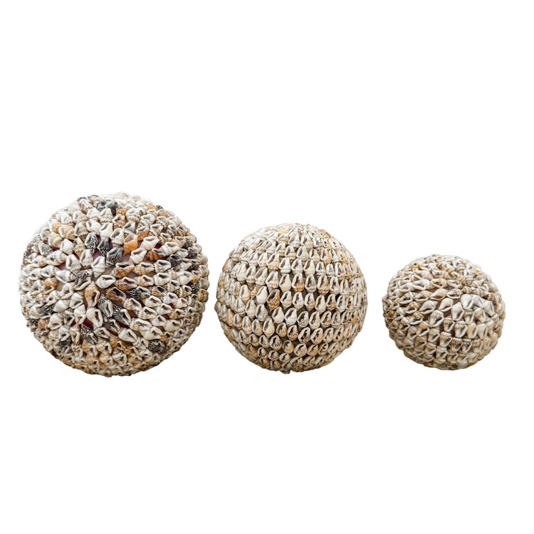 Shell Ball | Natural | 3 sizes