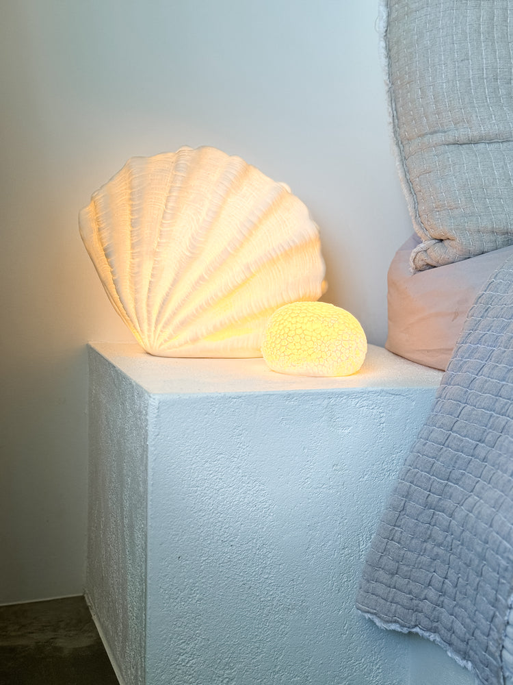 Scallop Resin Outdoor Light