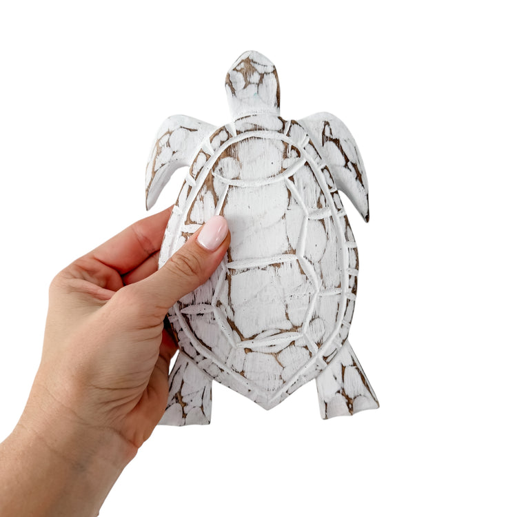 Large Turtle | 21cm | Assorted Colours