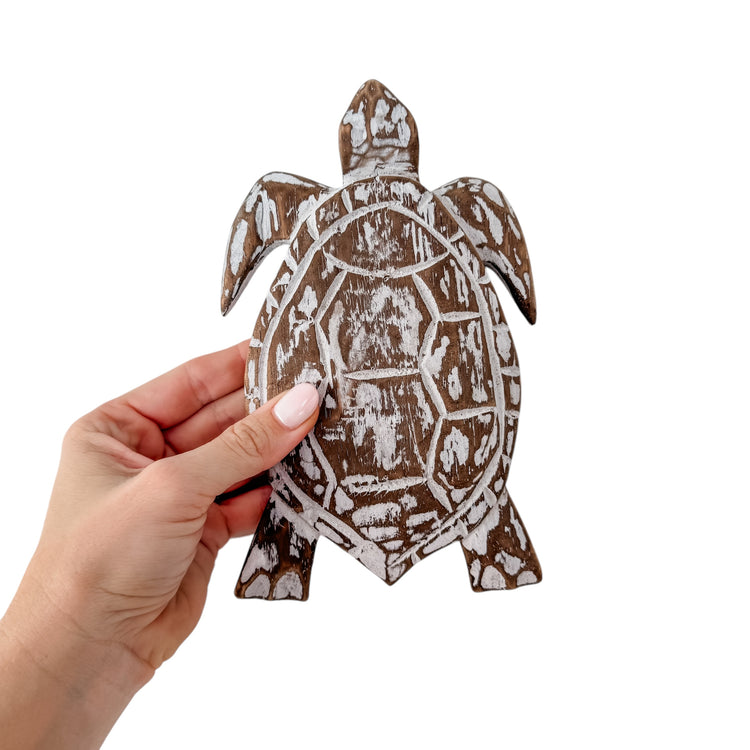 Large Turtle | 21cm | Assorted Colours