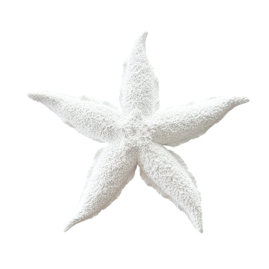 Starfish | Resin | 30cm