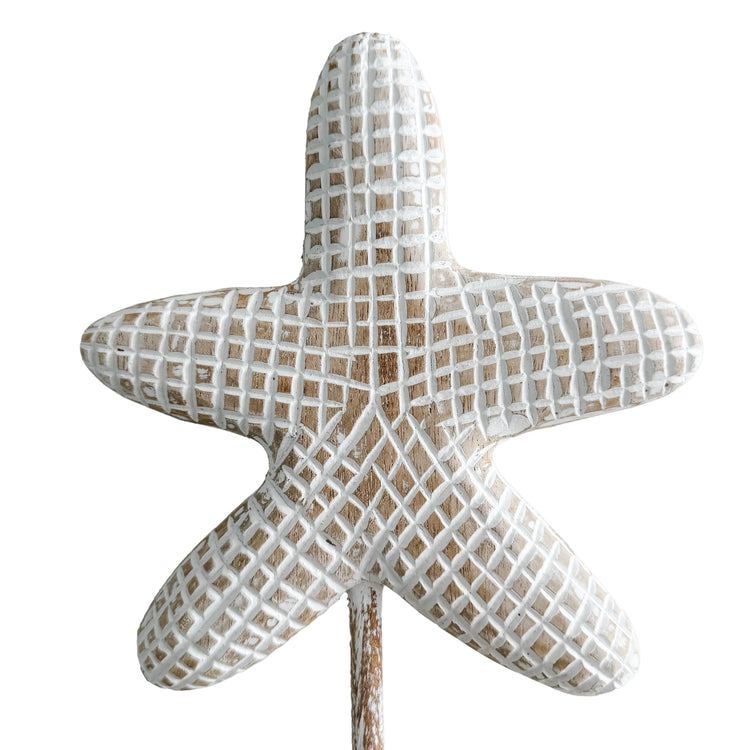 Starfish on Stand| Round | Natural