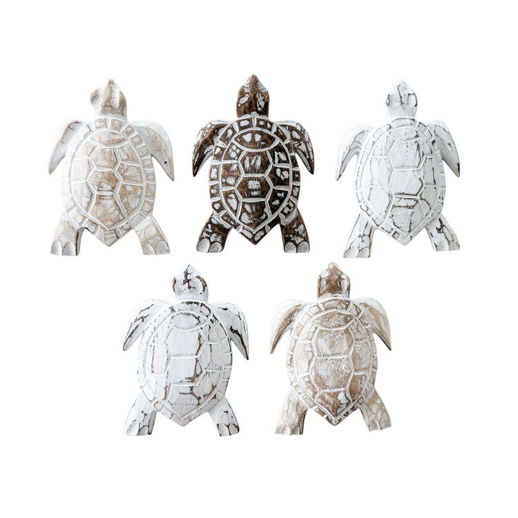 Medium Turtle | 16cm | Assorted Colours