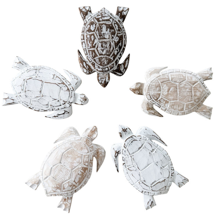 Large Turtle | 21cm | Assorted Colours