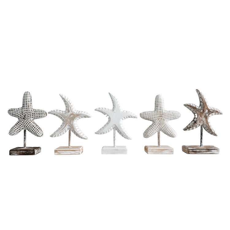 Starfish on Stand| Point | Natural