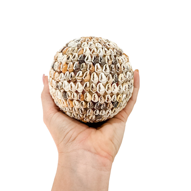 Shell Ball | Natural | 3 sizes