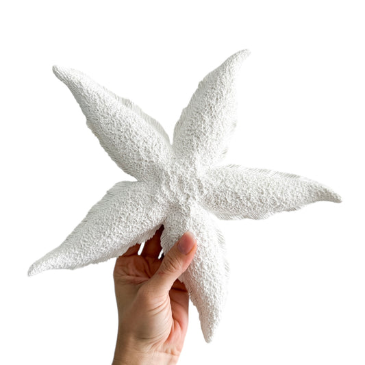 Starfish | Resin | 30cm