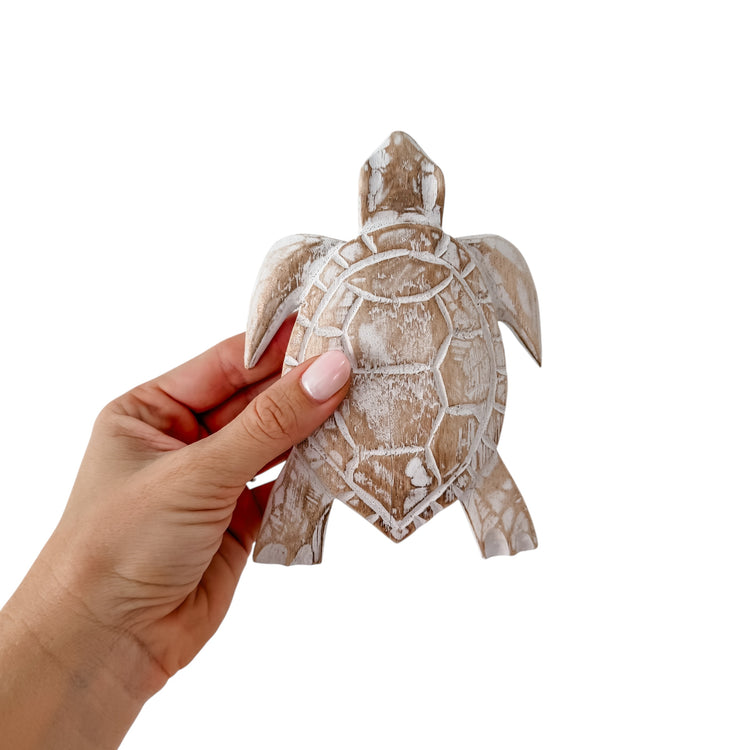 Medium Turtle | 16cm | Assorted Colours