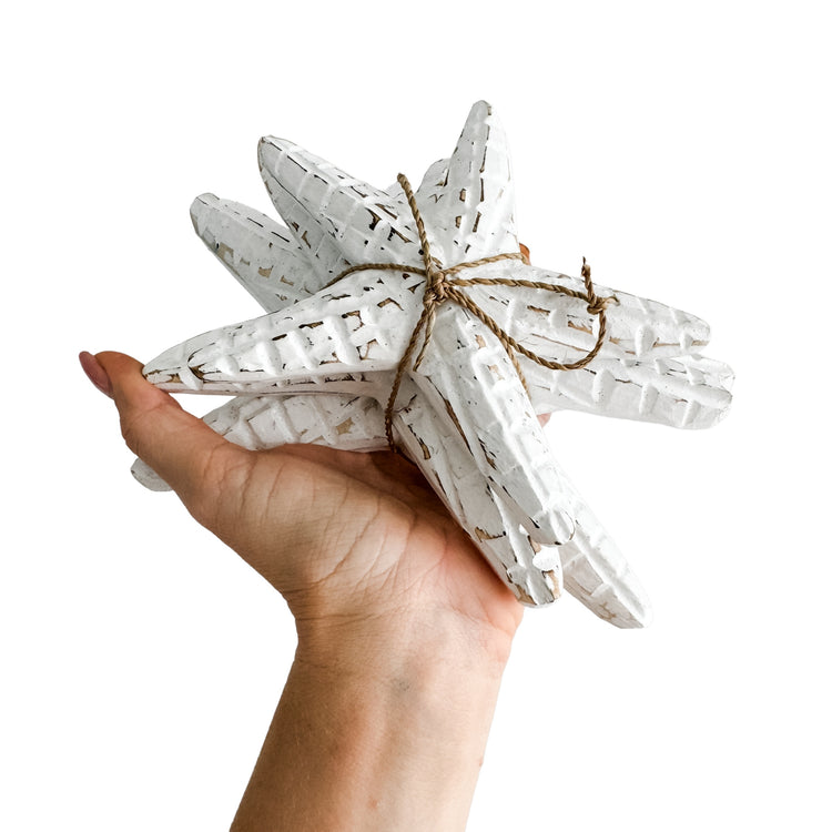 Starfish Bundle | White