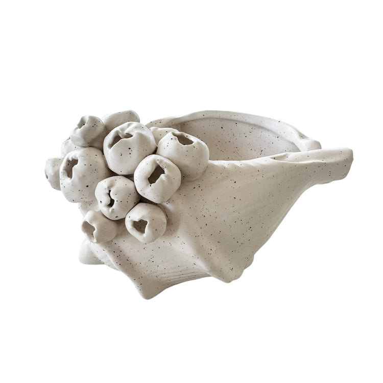 Barwon Ceramic Shell Scultpure | Small