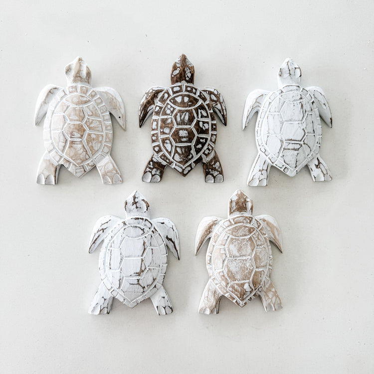 Medium Turtle | 16cm | Assorted Colours