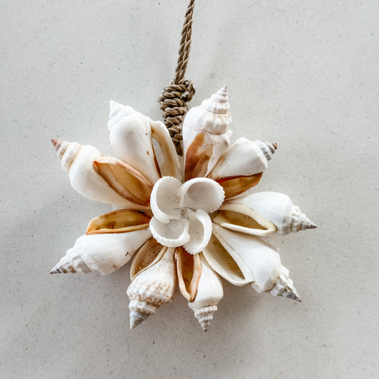 Hanging Shell Star