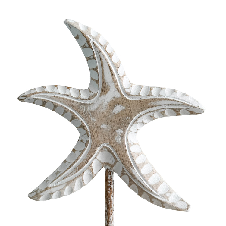 Starfish on Stand| Point | Natural