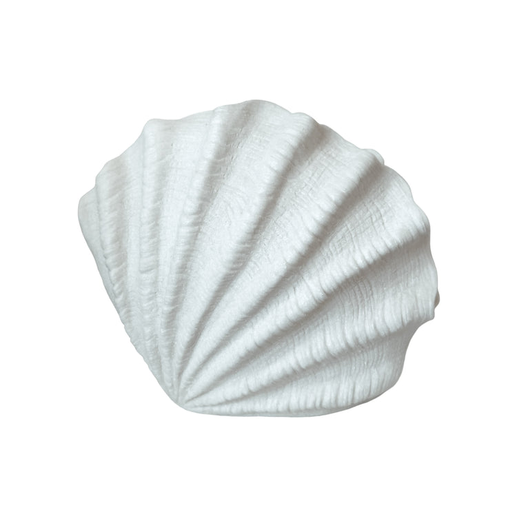 Scallop Resin Outdoor Light