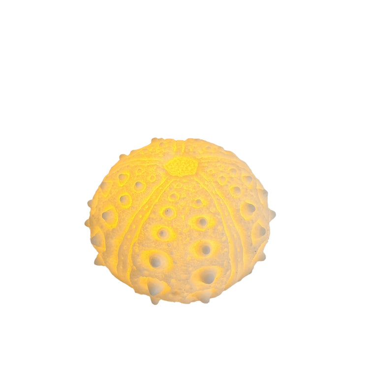 Urchin Mini Outdoor Light C