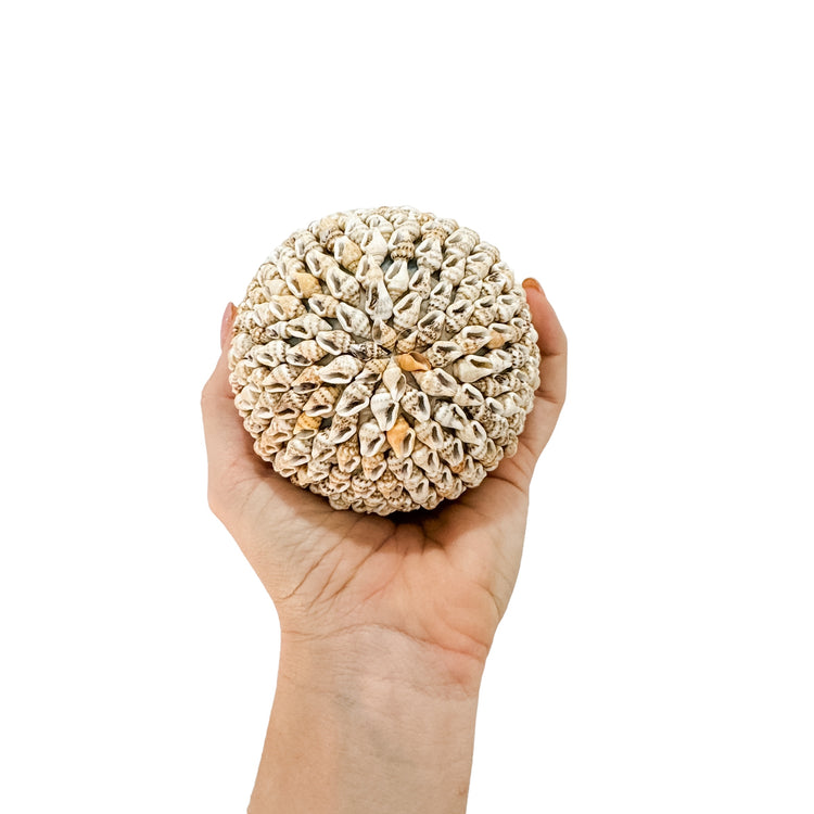 Shell Ball | Natural | 3 sizes