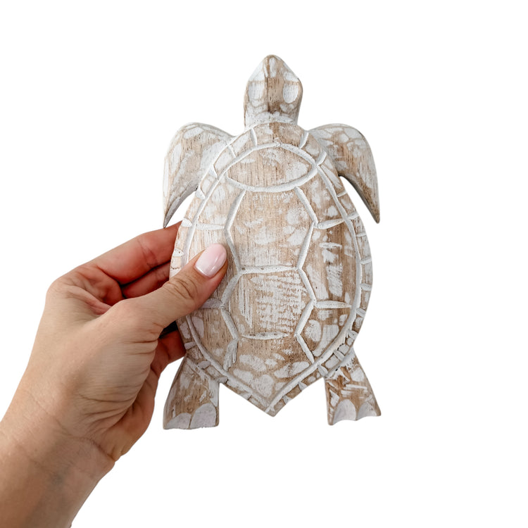 Large Turtle | 21cm | Assorted Colours