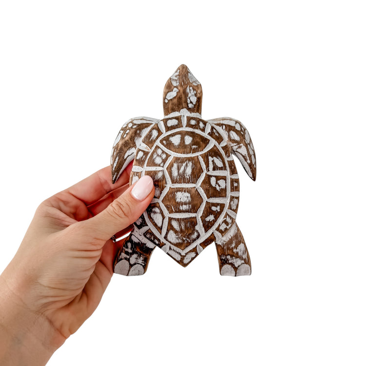 Medium Turtle | 16cm | Assorted Colours