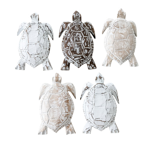 Large Turtle | 21cm | Assorted Colours