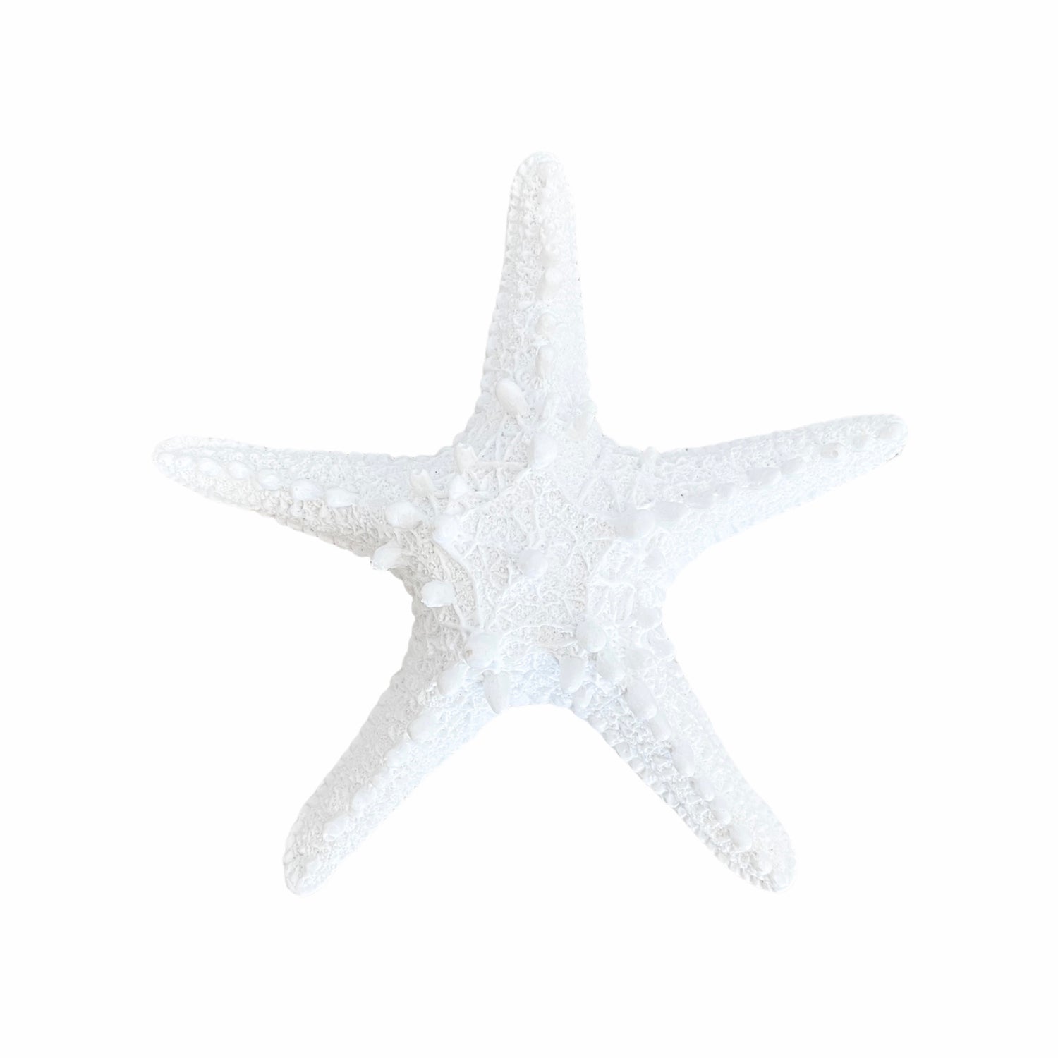 Starfish | Resin | 15x4cm